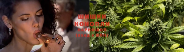 крисы Новодвинск