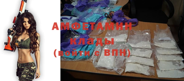 крисы Новодвинск