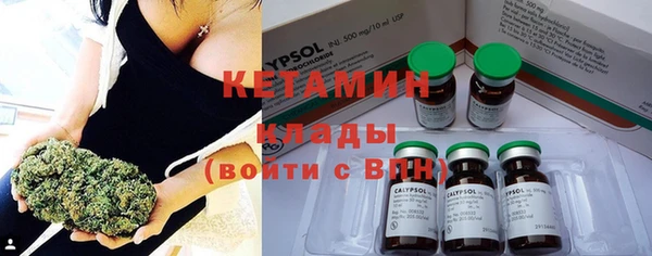 крисы Новодвинск