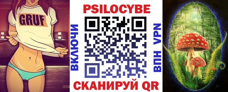 Псилоцибиновые грибы Psilocybe  Апшеронск 
